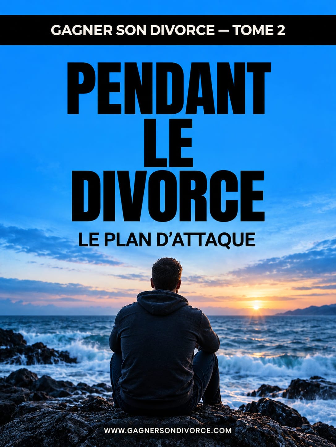 Ebook Pendant le divorce le plan d-attaque hommes